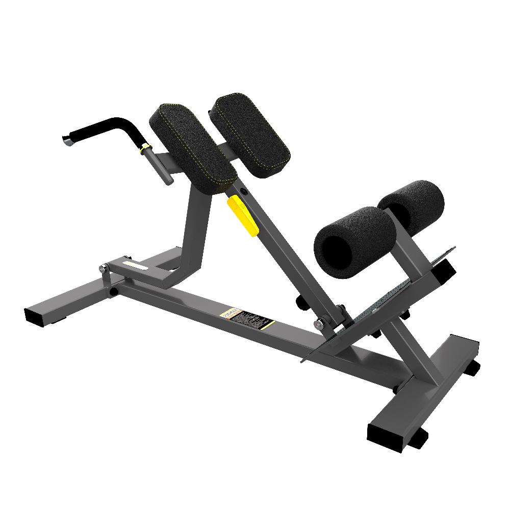 Гиперэкстензия (Back Extension) R-2045 DHZ