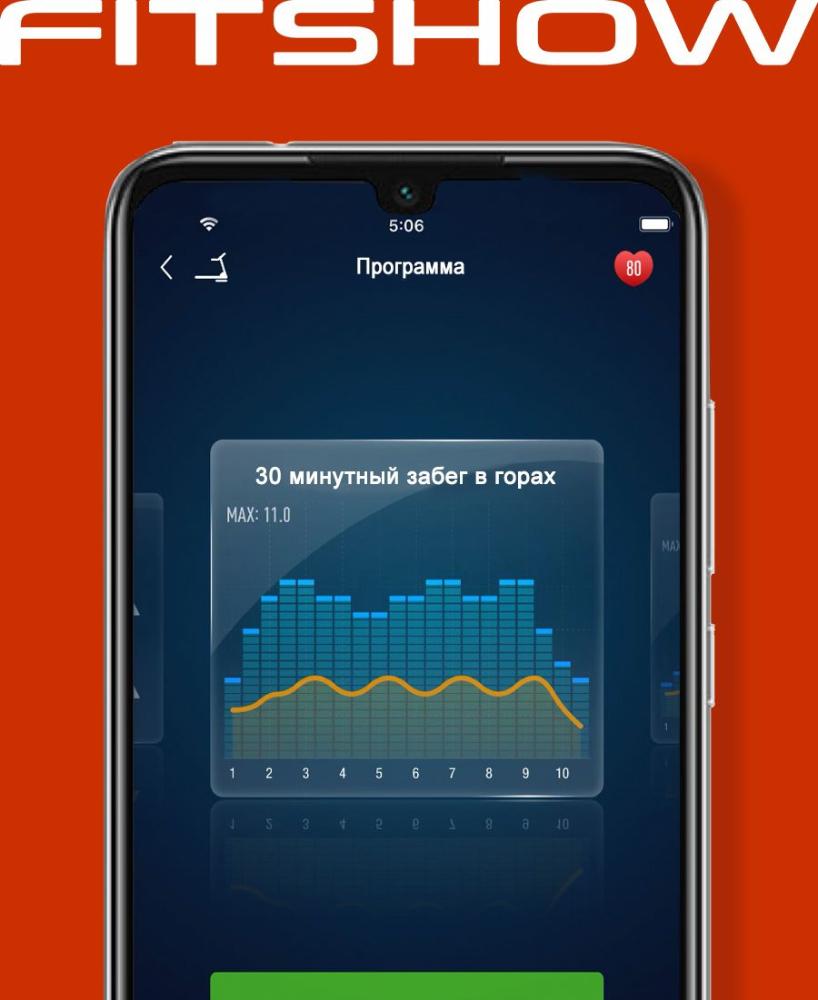 Беговая дорожка Titanium Masters Physiotech TJF