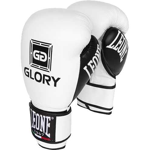 Перчатки Leone Glory 12 oz
