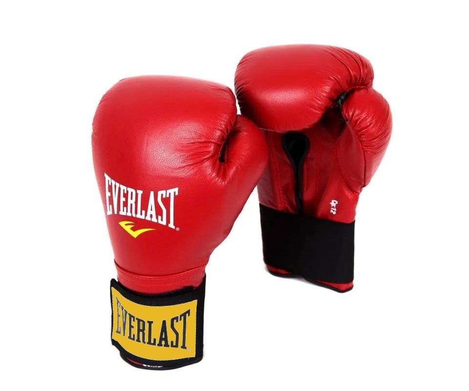 Перчатки боксерские Everlast 16 унц.