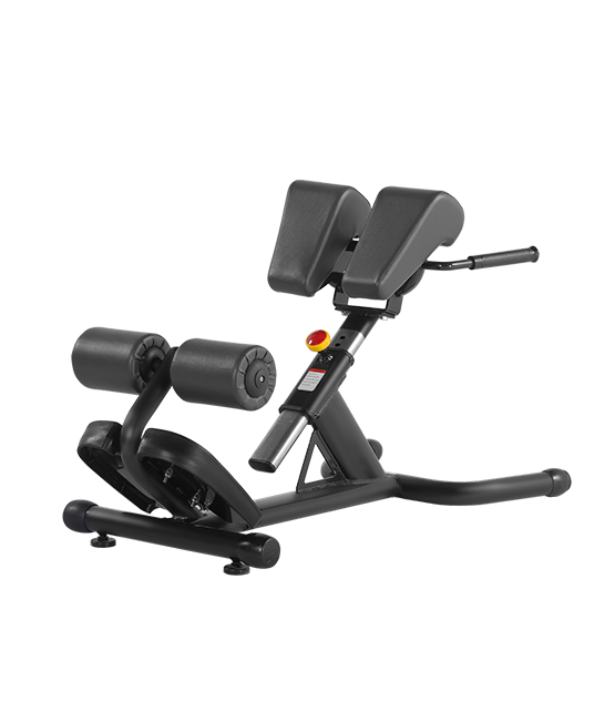 Гиперэкстензия H-026A BRONZE GYM