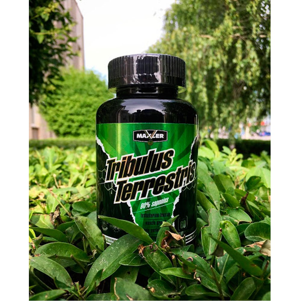 Maxler Tribulus 1200 мг. ( 60 капс.)