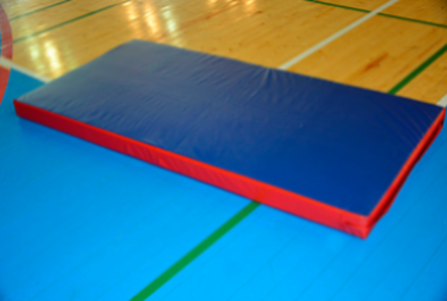 Мат гимнастический Спортком (200х100х10)